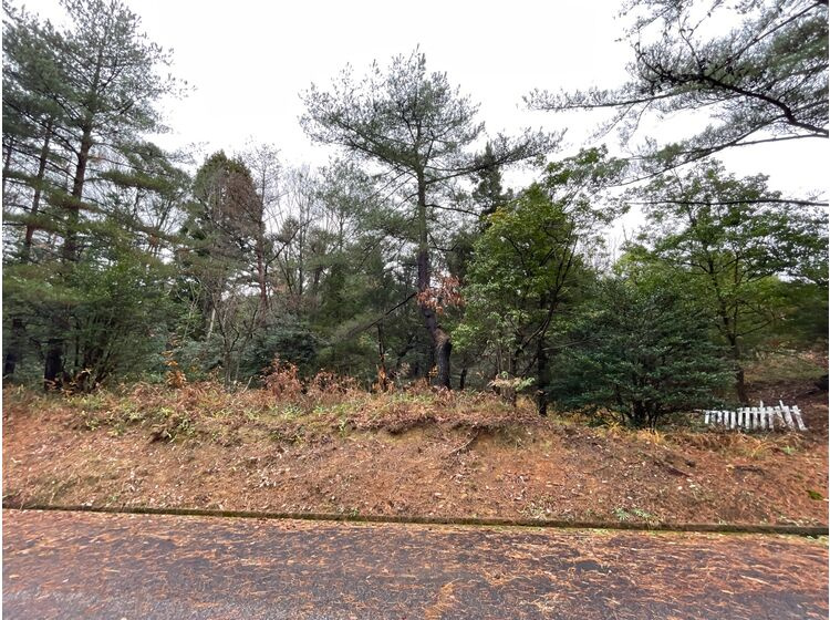 外観：317000006986