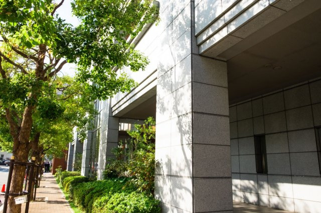 【周辺】マンション周辺の歩道もきれいに整備されています！気持ちの良い並木道！