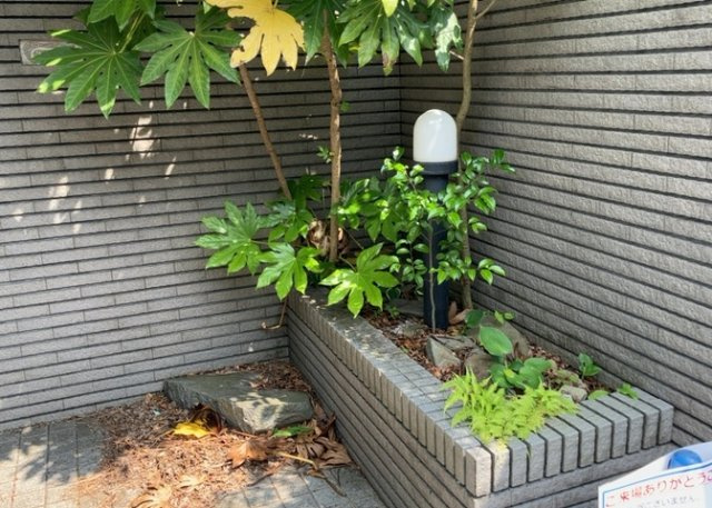 庭があることでガーデニングや家庭菜園はもちろん、こどもの遊び場やペットを放して遊ぶことができます。また、家の周囲に余裕があるということです。隣地との間があれば、十分な日当たりと、風通しが確保できます。