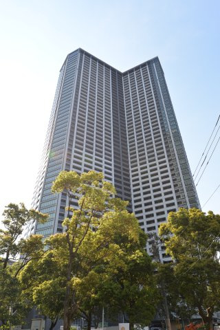 外観：313004909497