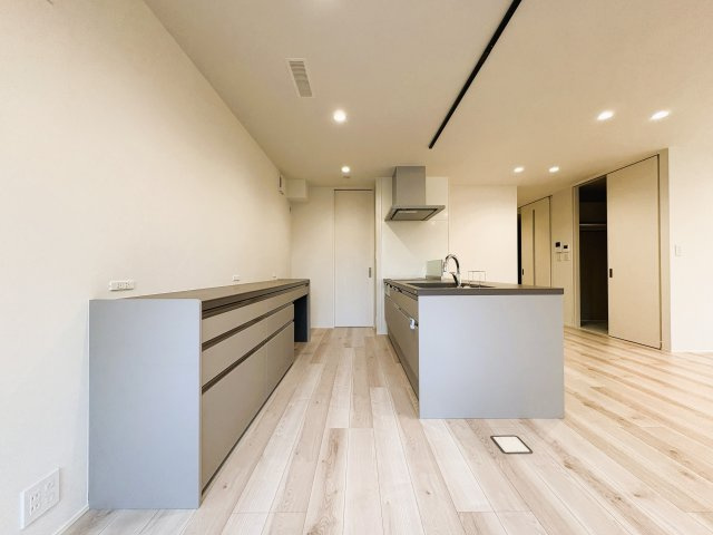 キッチン全景（2025/9）撮影　背面収納はキッチンとセットで新築時に採用。