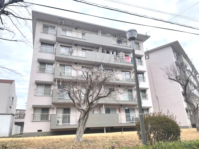 外観：312001189107