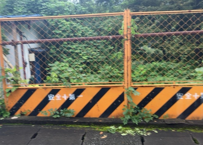 外観：314002845017