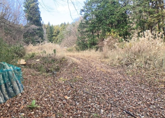 土地の前の道路に消火栓が設置されていることがあります。この場合、道路交通法第45条第1項により、駐車禁止の場所が指定されています。そのため、車庫などの駐車スペースをつくることができない場合があります。