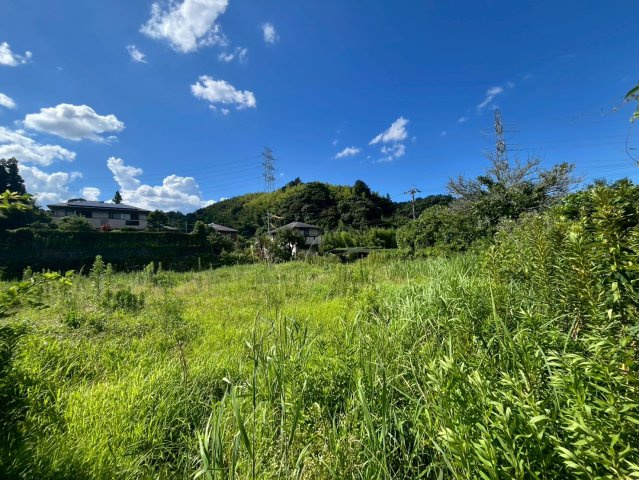 外観：340000255399