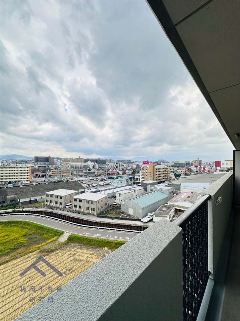 展望