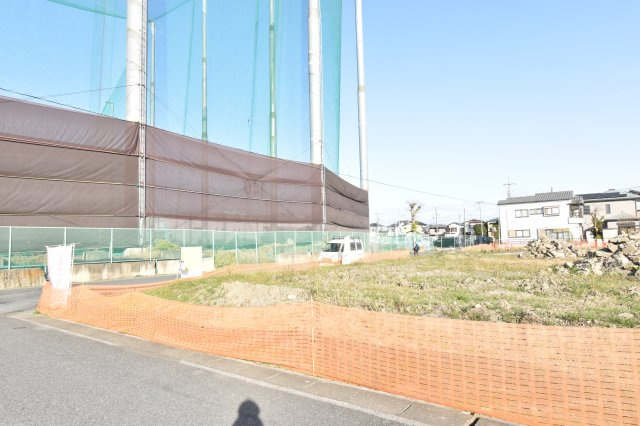 全体画像