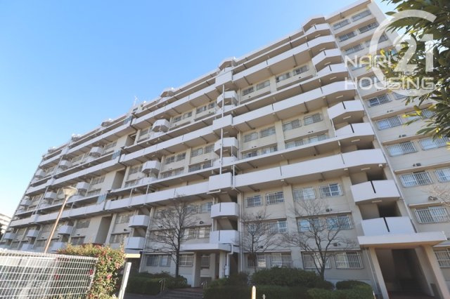 外観：313004684773