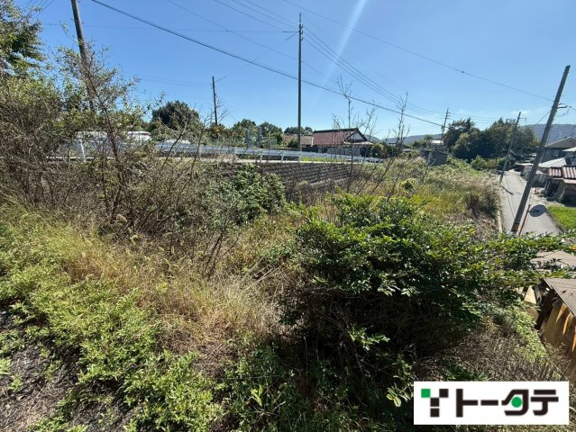 外観：334000203836