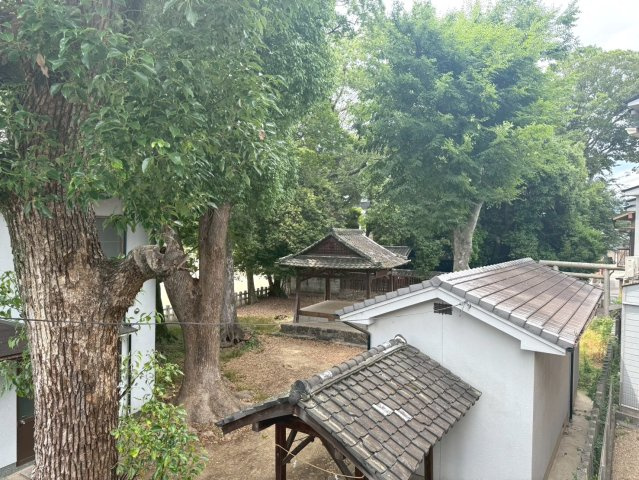 展望
