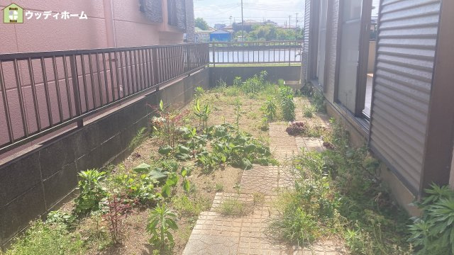 庭