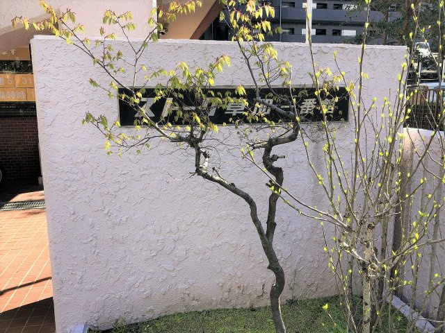 ストーク草加一番館
