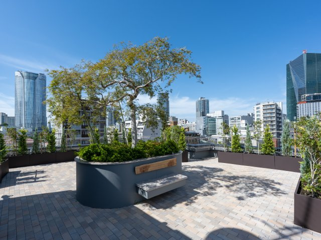 共用部分