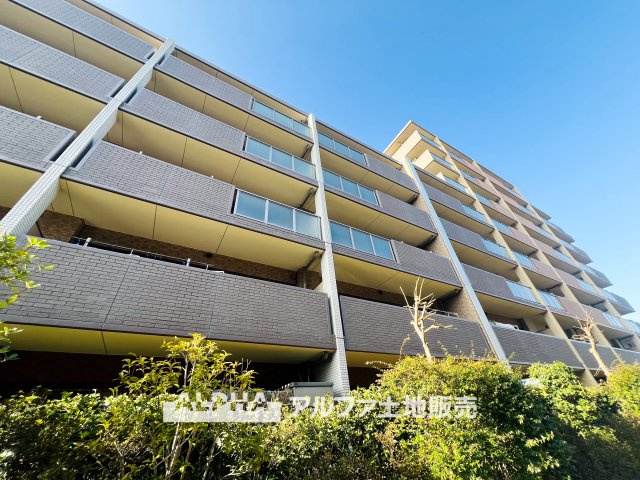 外観：313004653137