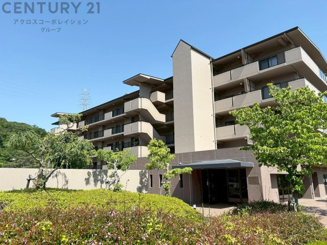 外観：328000476297