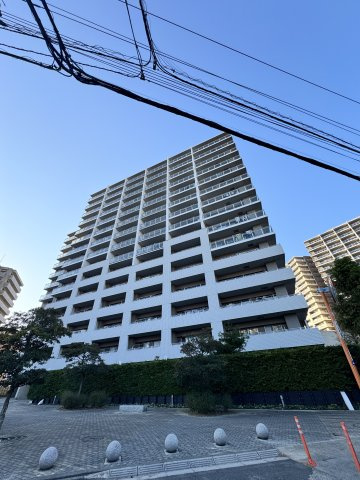 外観：312001242802