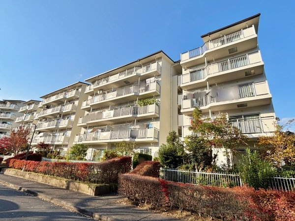 外観：313004504339