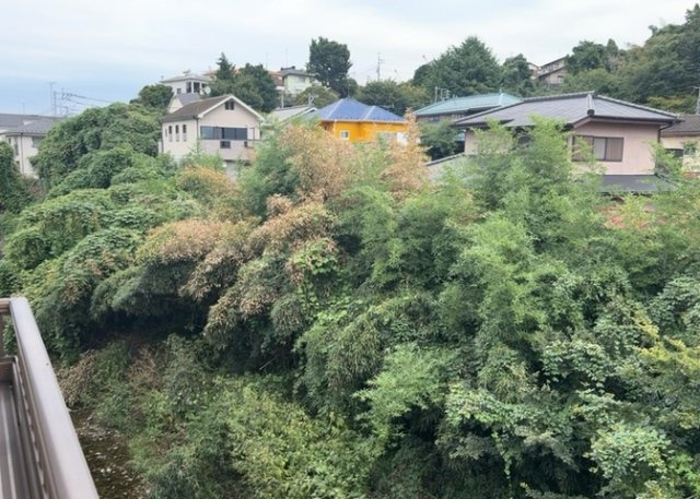 眺望を気にして物件を探す場合、前面に建物が建っていないか現地で確認しましょう！前面に建物があると景色はもちろん、日当たりや風通しにも影響が出てきます。住んだ時のことを想像しながら現地見学をしましょう。