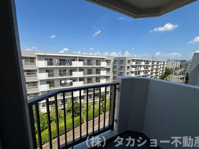 展望