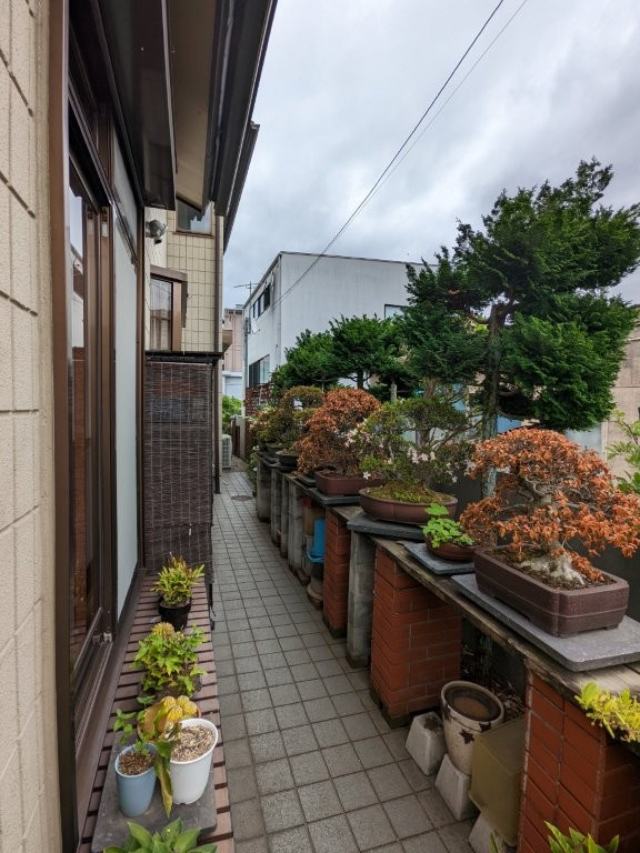 庭