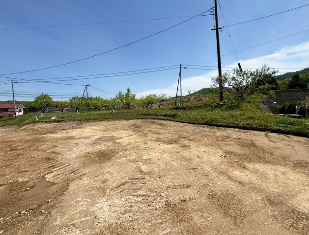 【現地写真】　2026年4月に撮影しました