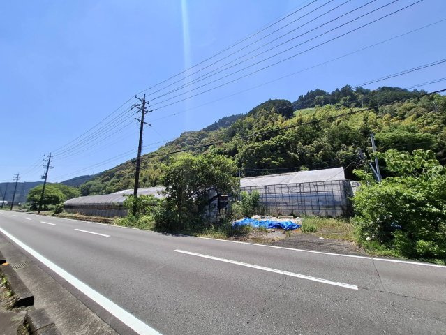 緑豊かな環境で、ゆったりとした時間を過ごせます。