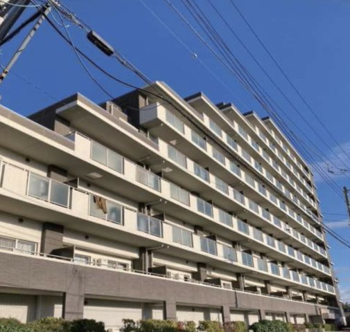外観：312001331244