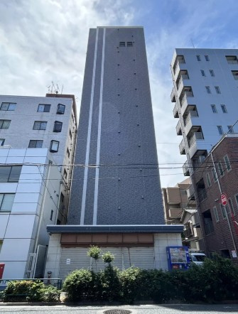 外観：313004906432