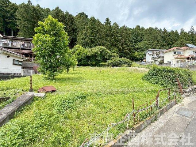 広々とした敷地