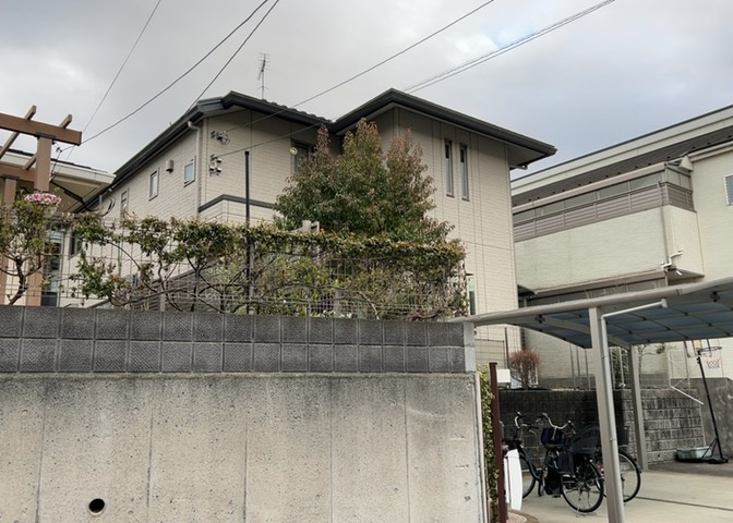 外観：313004659216