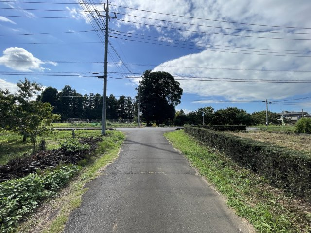 南側道路