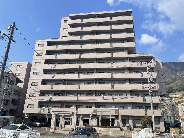 外観：334000224496