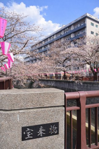 中目黒桜まつりの会場エリアに位置する人気の立地。春は桜並木が広がり、日常の中で季節の移ろいを楽しめます。2025年3月撮影