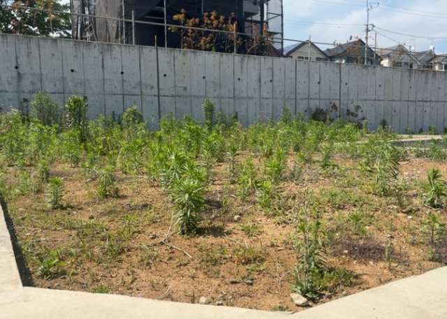 土地の面積＝住宅面積ではありません。建ぺい率の問題などで、土地のある場所によって住宅を建てられる面積は限られています。高さもしかり、「土地」という言葉の中には、建築条件も含まれると考えておきましょう。