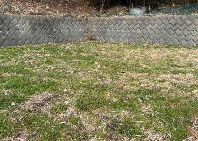 土地を買う際、住む地域の自治体や福祉の補助制度にも注目してみましょう。子供や老人の医療補助やゴミ出しのルールなど、自治体によってルールに大きな違いがあるため、暮らしやすい土地で判断するとよいでしょう。
