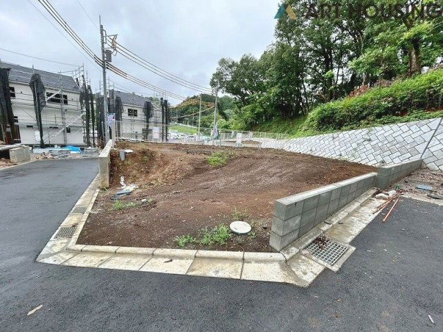 2026年7月撮影