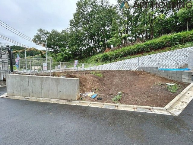 2026年7月撮影