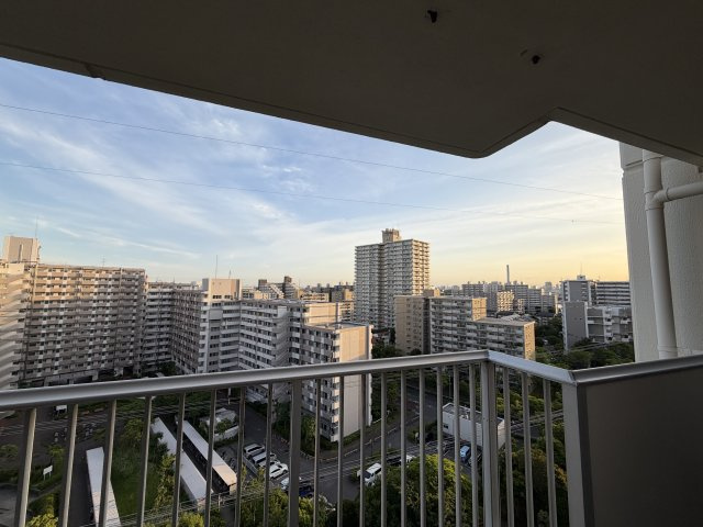 展望