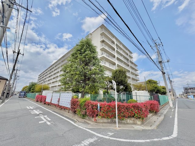 外観：311002352298