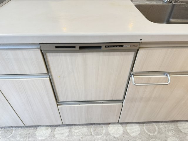 ビルトインタイプの食器洗浄乾燥機が備わったシステムキッチン。作業台と一体化したデザインで見た目もすっきりしており、空間に統一感をもたらします。家事の時短や節水に役立ち、忙しい日常をサポート。