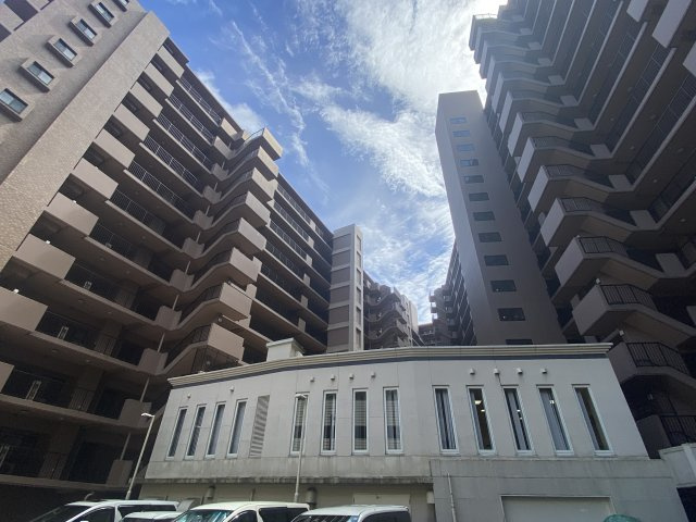 敷地内から