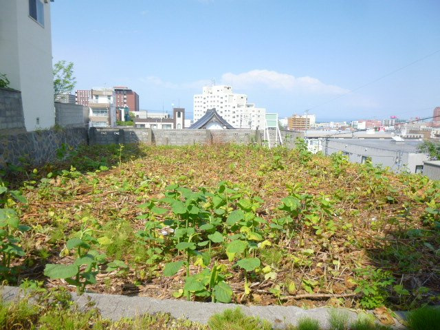 外観：301000102827