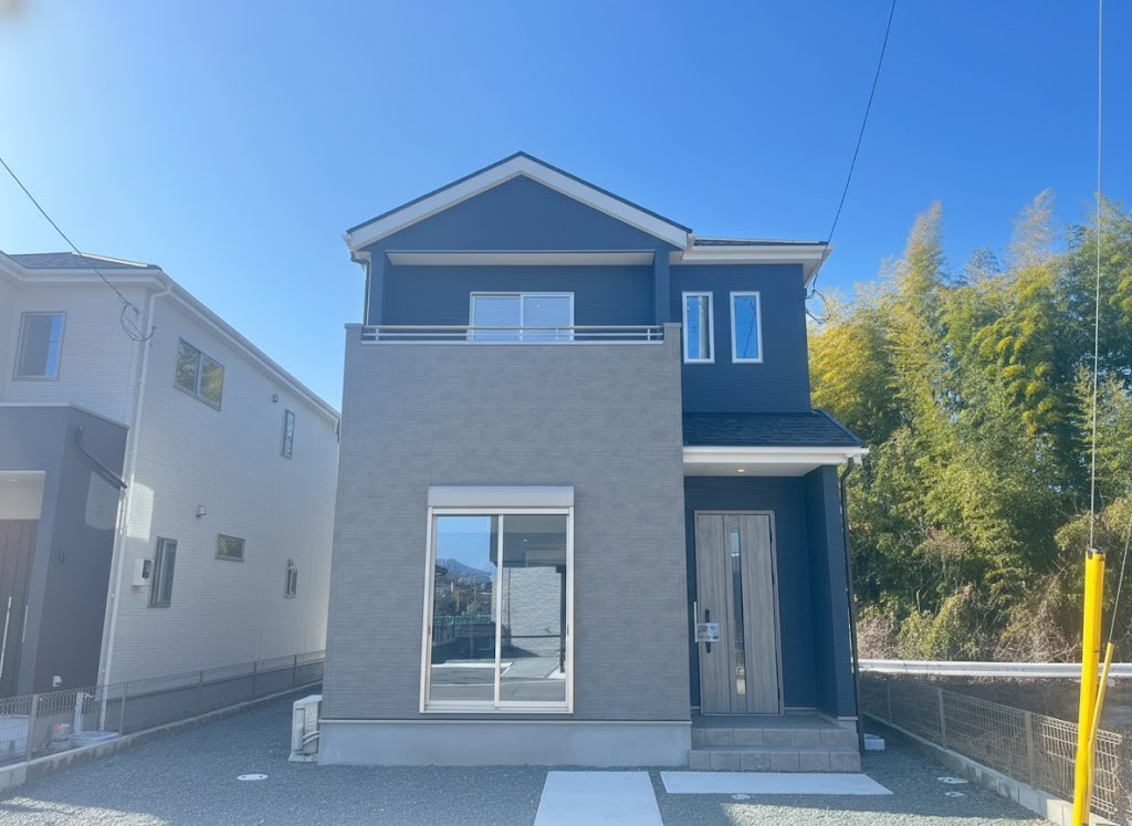 外観：343000087617