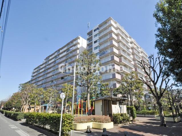 外観：313004679393