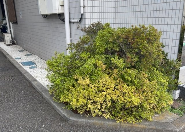 中庭（パティオ）とは、一つの建築物の内部に設けられた、壁などで囲われている庭のことを指します。コの字型、ロの字型が主流ですが、L字型の中庭もあります。最近では、インテリア性の高さからも人気があります。