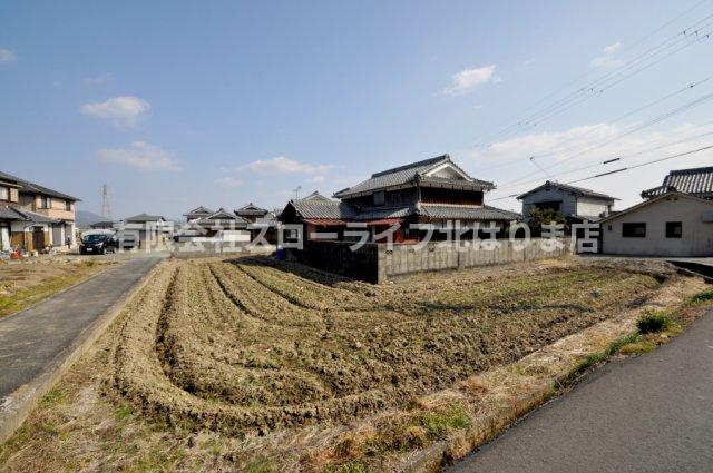 田んぼ