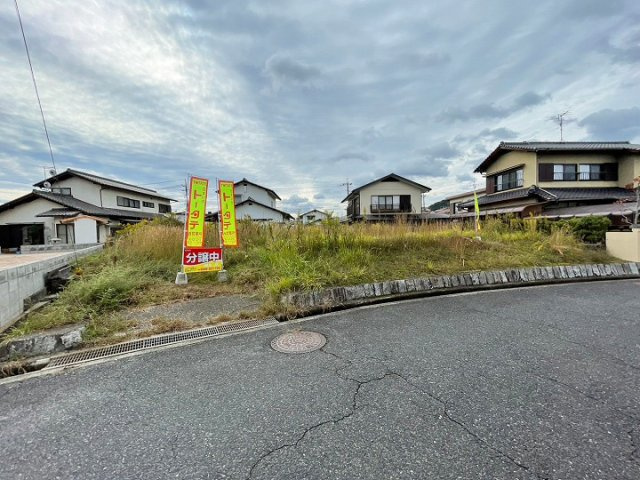 外観：334000235956