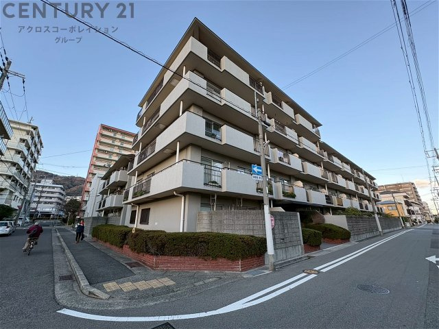 外観：328000590557