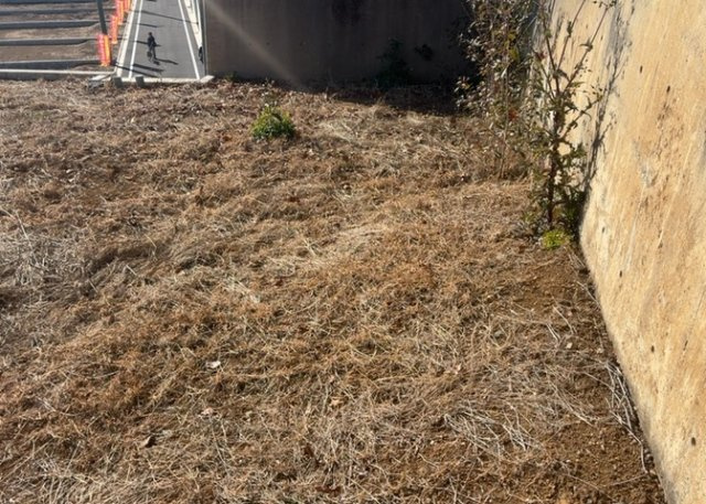 土地の前の道路に消火栓が設置されていることがあります。この場合、道路交通法第45条第1項により、駐車禁止の場所が指定されています。そのため、車庫などの駐車スペースをつくることができない場合があります。