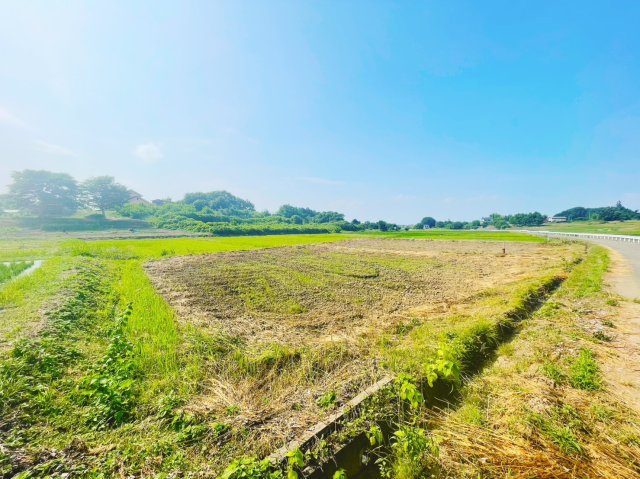 外観：311002368668